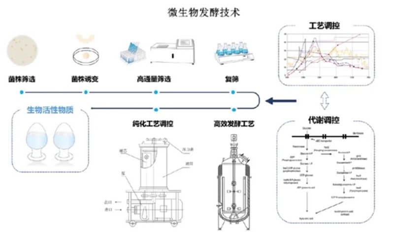 饲料添加剂行业的最新动态